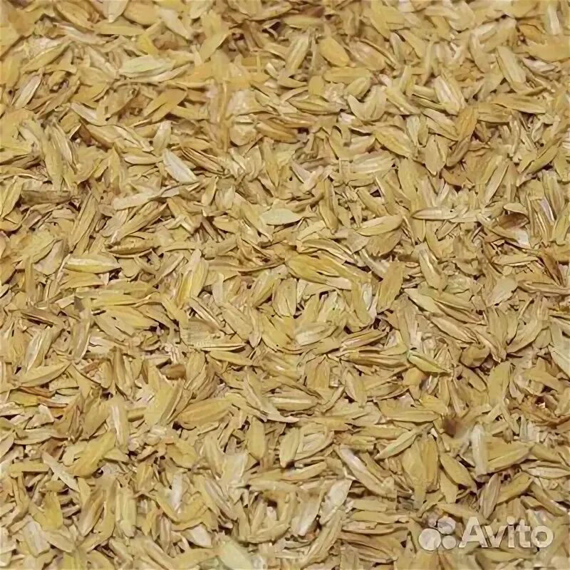 Рисовая шелуха польза. Мякина ячменная. Шелуха риса. Рисовая шелуха польза. Шелуха пшеницы.