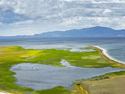 Байкал балтийское море бассейн болото