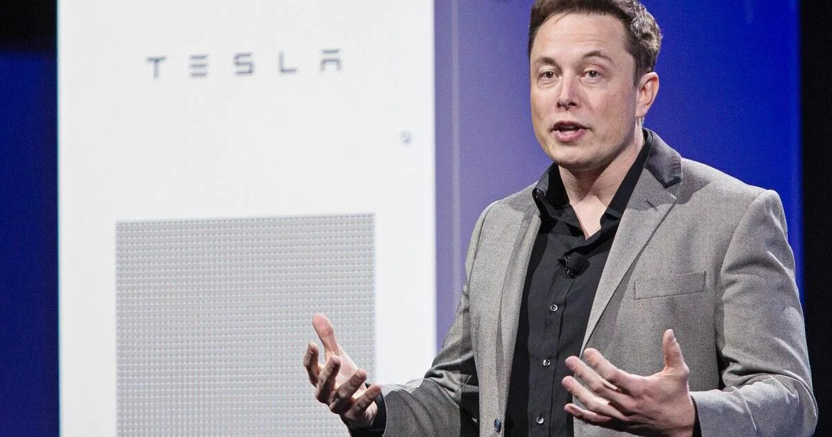 Musk. Илон маск портрет. Илон маск тесла. Tesla илон маск. Элон маск фото.
