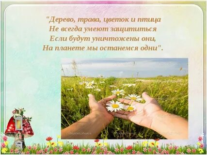 Предложение на тему берегите природу