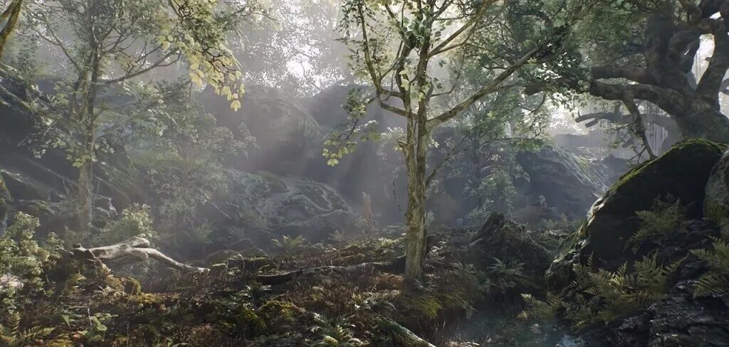 Tes 6 дата. The elder scrolls 6 valenwood. tes 6 скрины. tes 6 системные требования.