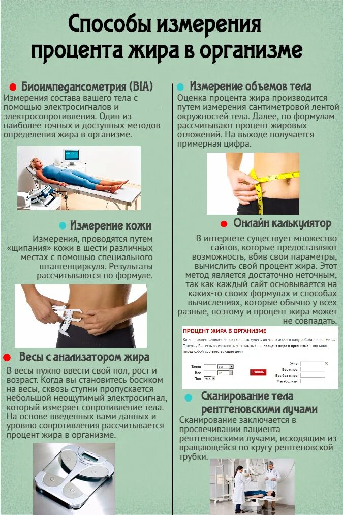 15 процентов жира. процент жира в организме женщины. норма процентного содержания жира в организме. как узнать жира в организме. как выглядит процент жира.