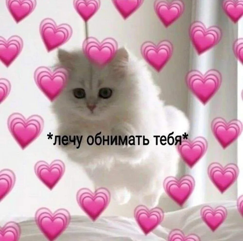 Милые котики с сердечками. Милые котики с сердечками. Миленькие картиночки с надписями. Картинка с милой надписью и котиком. Котик с сердечком люблю тебя.