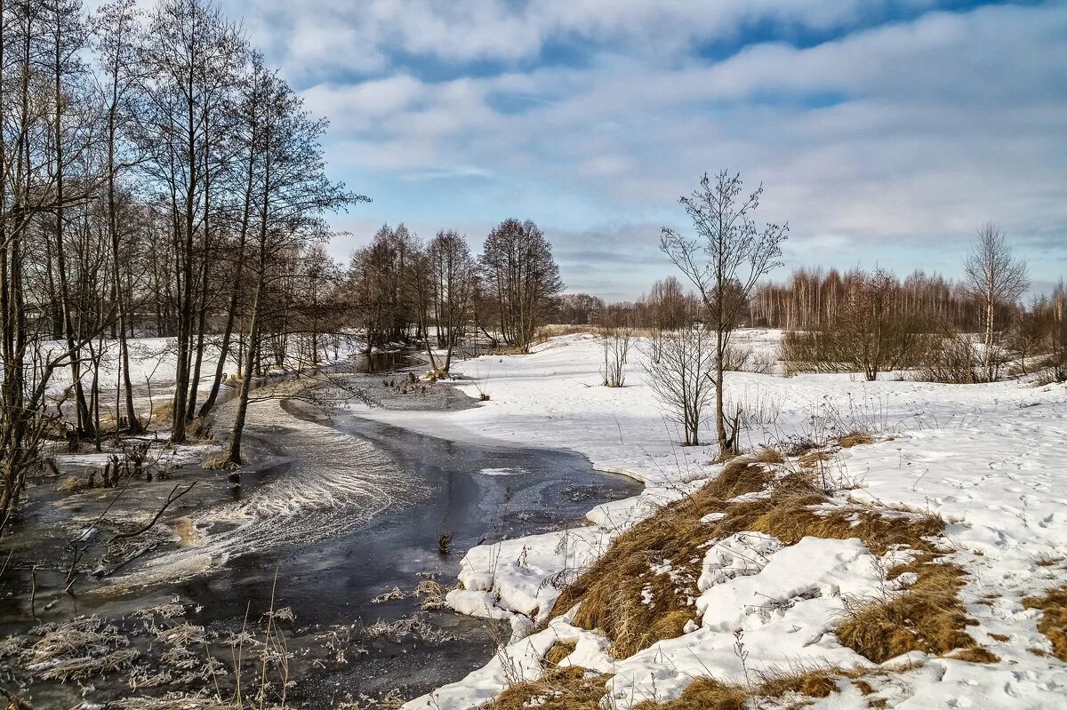 Золотые дни весны. Март природа. Весенняя река. Река весной.