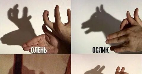 Тень мем
