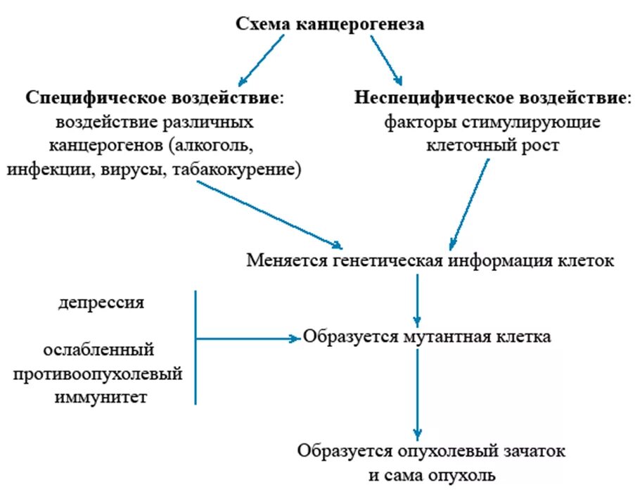 Опухоль схема