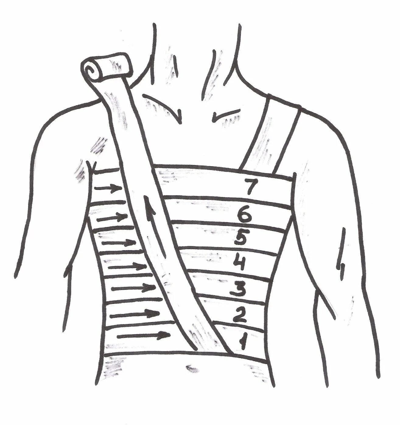 Повязка на грудную клетку алгоритм. Десмургия спиральная повязка на грудную клетку. Наложение спиральной повязки на грудную клетку. Спиралевидная повязка на грудную клетку алгоритм. Спиральная повязка при переломе ребер.