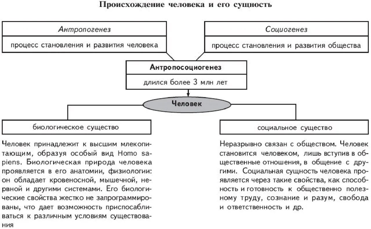 Происхождение и сущность человека. Происхождение человека и его сущность. Происхождение человека и его сущность Обществознание. Сущность человека таблица. Проблема сущности общества