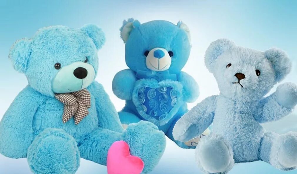 Тедди свимс лос. Голубой медведь. Синий мишка. Тедди. Синий медведь Тедди.