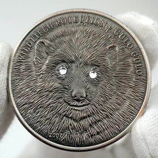 Монеты дня хомяк