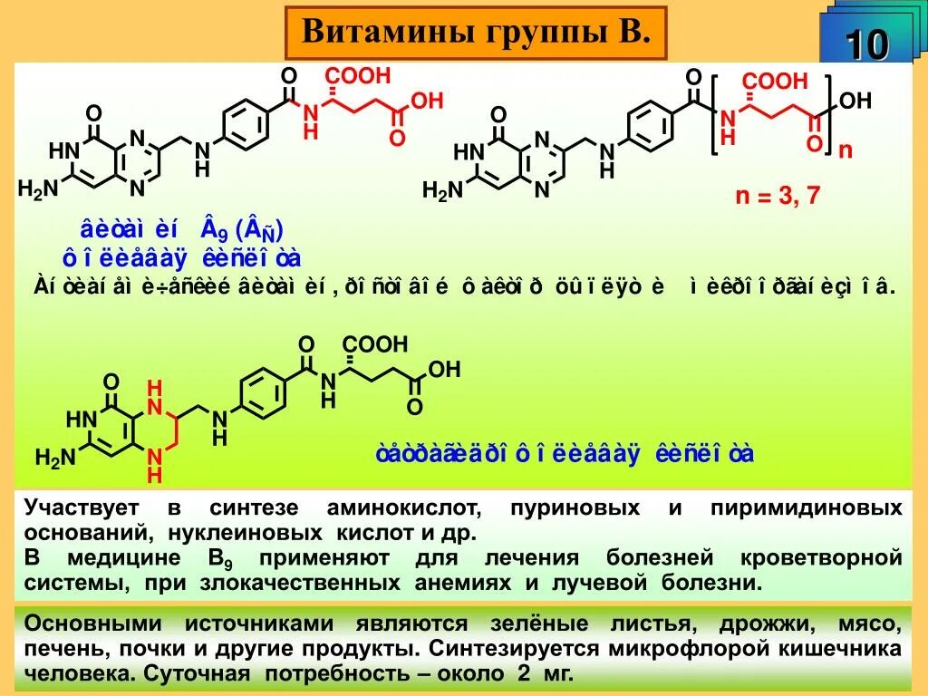 Витамин в9 Синтез биохимия. Витамин в9 Синтез аминокислот. Синтез витаминов группы в и к. Витамин к синтезируется.