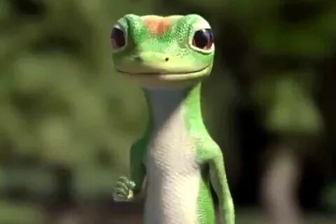 Gecko version
