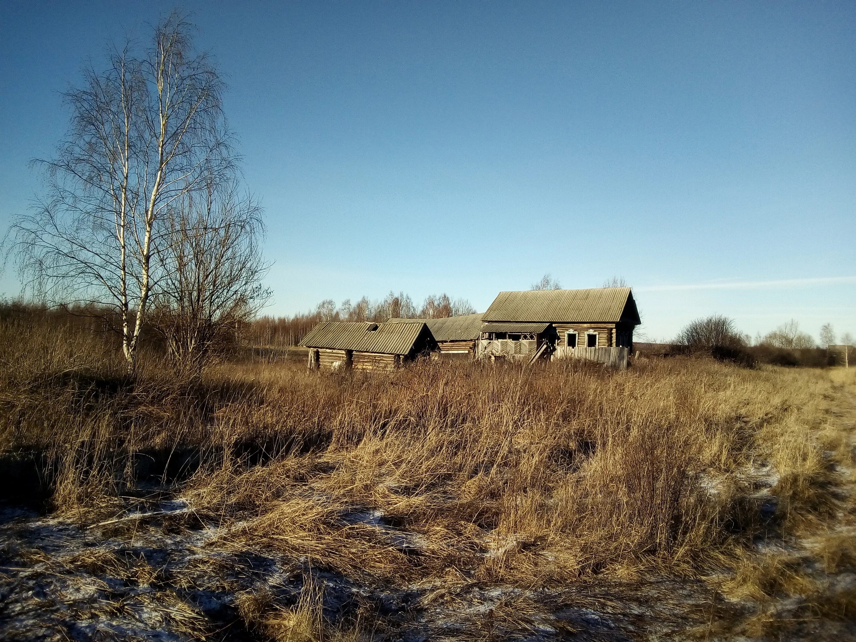 Букреево плесо