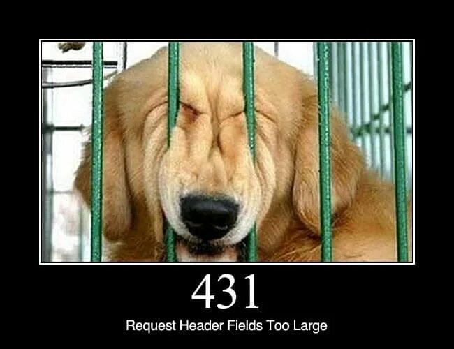 Request header too large. Too big request header. i got big dog status.