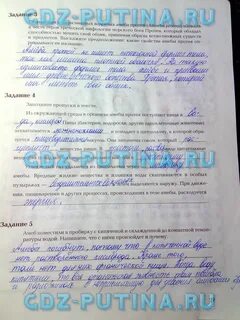 Тетрадь по биологии 7 класс суматохин
