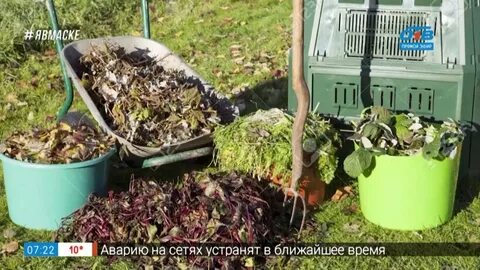 Можно ли осенью вносить
