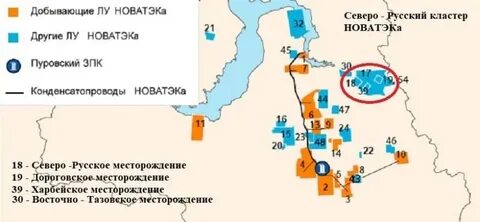 береговое месторождение новатэк