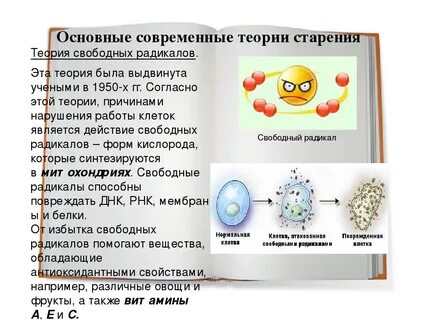 Свободные радикалы свойства