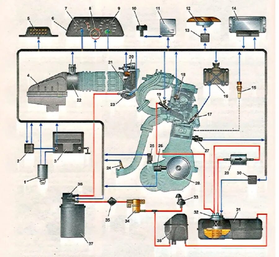 Схема датчиков ВАЗ 2115 инжектор 8 клапанов. Датчики ВАЗ 2115 инжектор 8. Датчики двигателя ВАЗ 2114. Расположение датчиков ВАЗ 2114 1.6 мотор. Все датчики ваз 2114