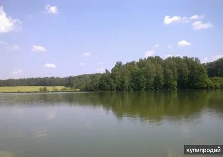 Савельево