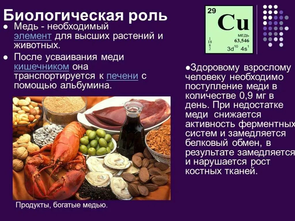 Какие вещества содержатся в меди. Биологическая роль меди. биологическая роль меди в организме. медь в пищевых продуктах. продукты богатые медью.