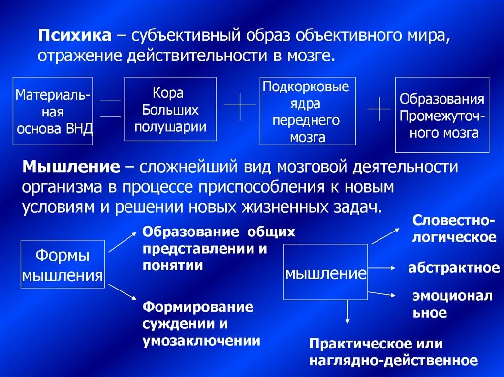 Субъективное отражение реальности