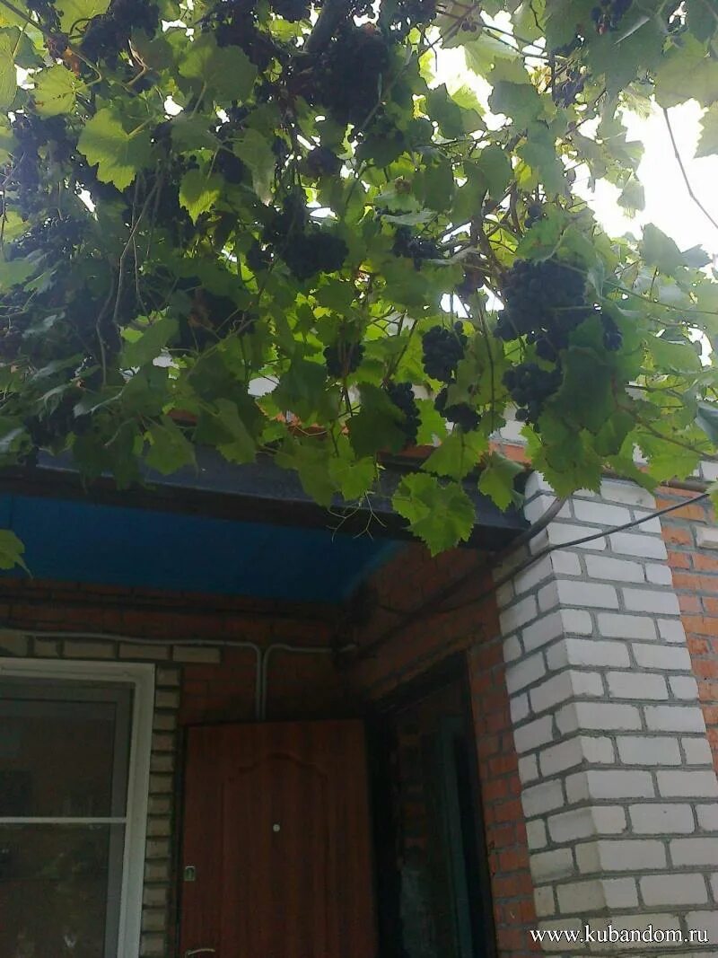 село михайловский мегронсони пункт. карта краснодарского края село михайловское на карте краснодара. краснодар михайловское. михайловская (краснодарский край). село михайловское краснодарский край на карте.