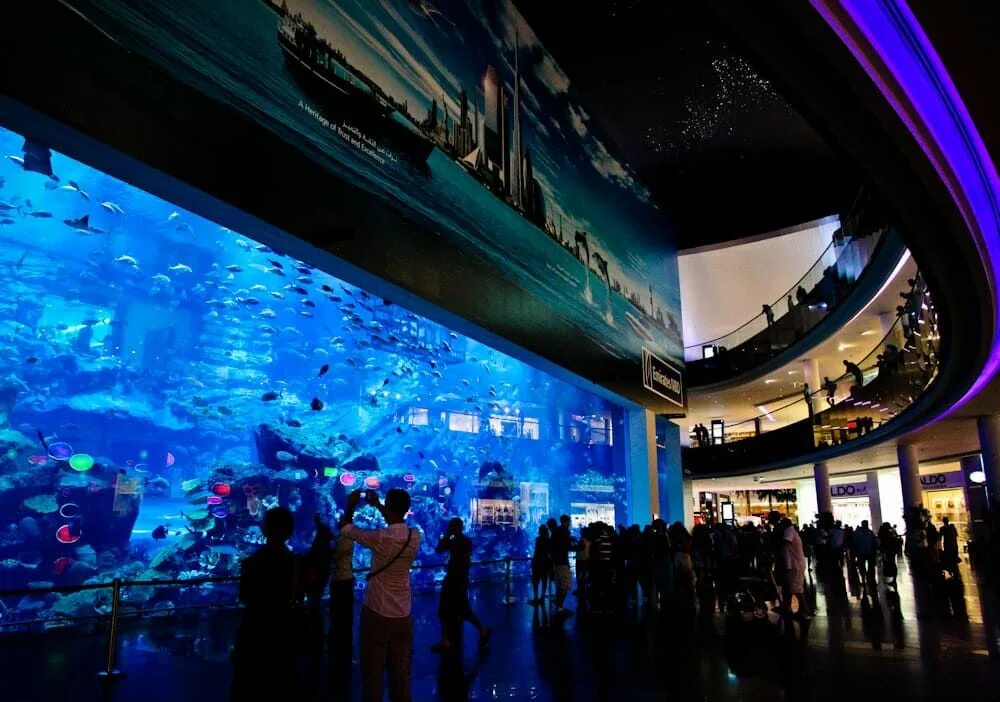 Самый большой торговый центр в мире dubai mall. Дубайский океанариум в дубай молле. Аквариум дубай отзывы. Аквариум "dubai mall" (оаэ, дубай). Океанариум дубай молл.