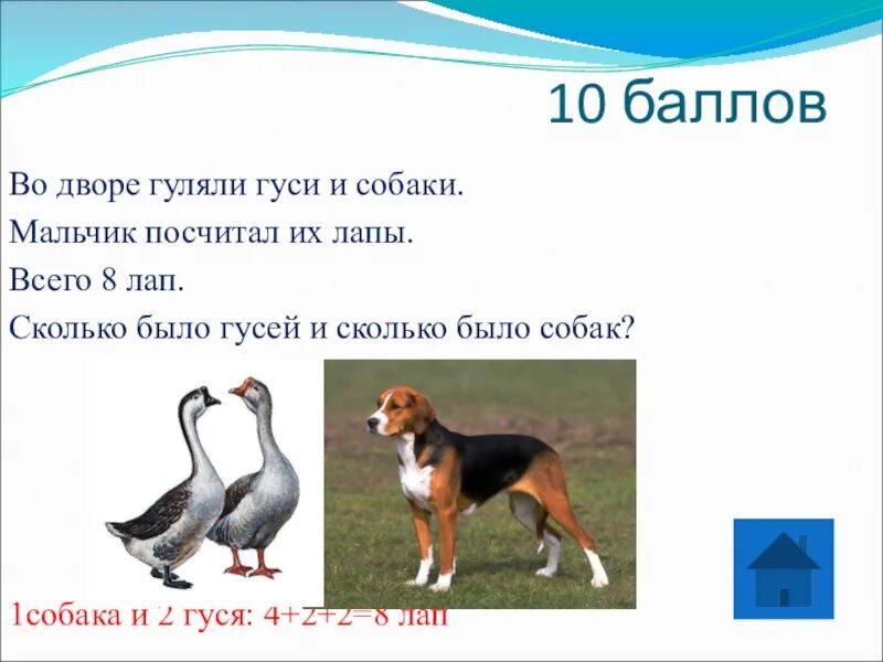 Собака 2 петух 8. Гуси гуляют. Задача во дворе гуляли собаки и гуси. Бежали по дорожке Гусь. Во дворе гуляли щенята и утята.