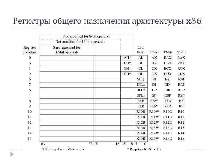 Регистры общего назначения. Регистр 86 процессора. регистры общего назначения nasm. регистры 64 разрядного процессора. к регистрам общего назначения а архитектуре intel x86 относятся:.