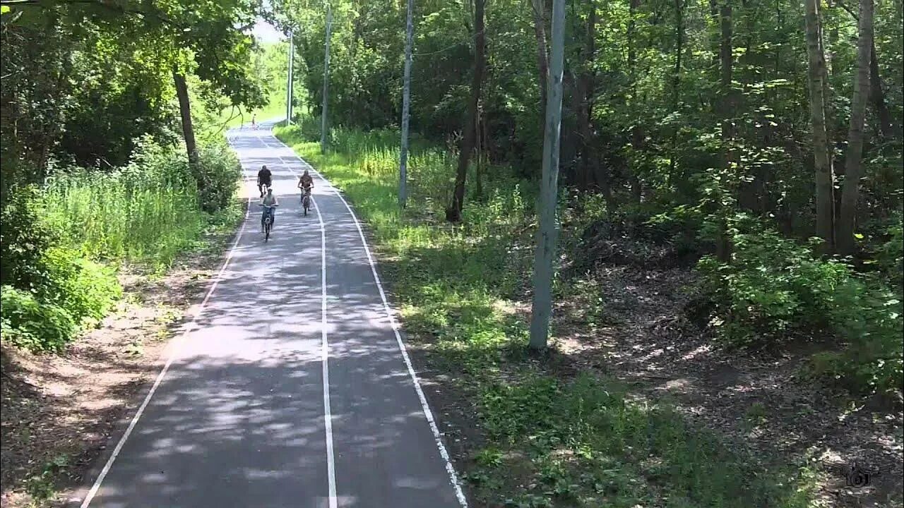 Парк дружбы на речном вокзале. Парк дружбы велосипеды. Парк дружбы велосипеды. Парк дружбы велосипеды. Парк дружбы тамбов.