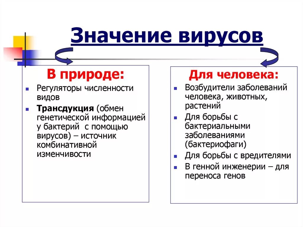 Какова положительная роль бактерий. Роль вирусов в природе. Какова роль вирусов. Роль и значение вирусов. Роль вирусов в природе и жизни человека.