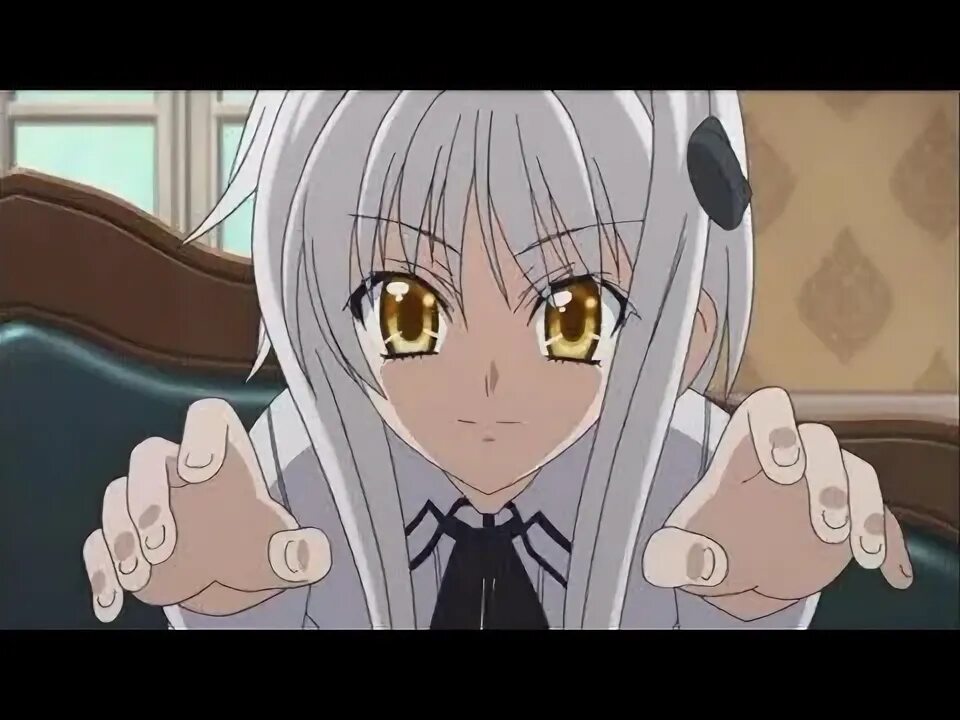 Koneko mari. Koneko mari