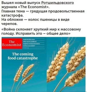 Статьи в экономист