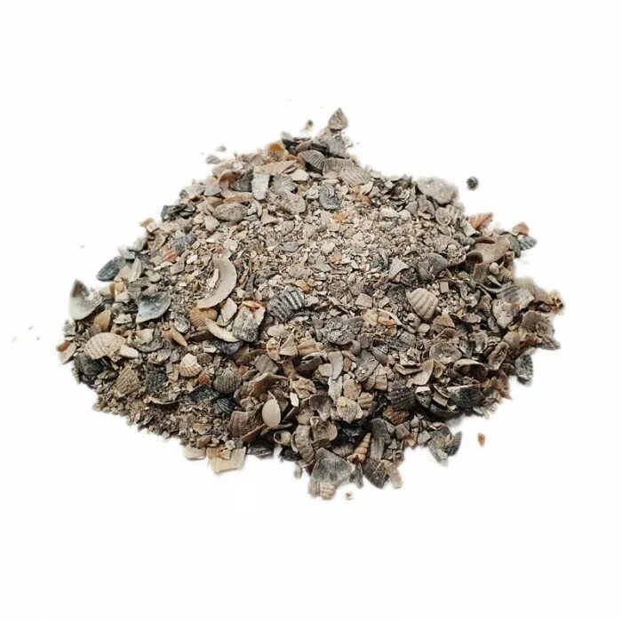 Ракушка морская кормовая. Ракушка кормовая 2кг садовита. Ракушка для корма птицы. Ракушка кормовая для птиц. Ракушка кормовая доброжил 5кг.