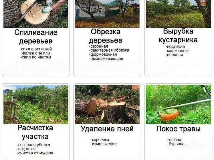 Как очистить участок от деревьев и кустарников. Очистка участка от деревьев и кустарников. расчистка участков визитка. расчистка участка спил деревьев. покос травы визитка.