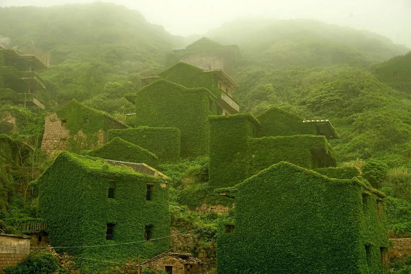 Abandoned village. Остров Шенгси зеленая деревня. Рыбацкая деревня в Китае Шенгси. Архипелаг Шенгси Китай заброшенная Рыбацкая деревня. Заброшенная Рыбацкая деревня Хутуван.