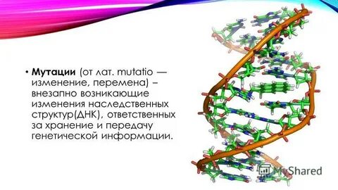 Стойкое изменение генома