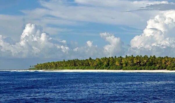 Остров кука кука. Остров раротонга (острова кука, тихий океан). Маленький островок с пальмой. Остров ва. Алор о-ва.