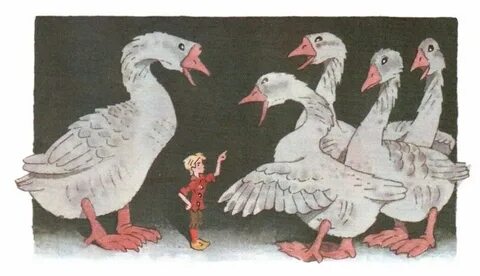 Гусь нильса 6
