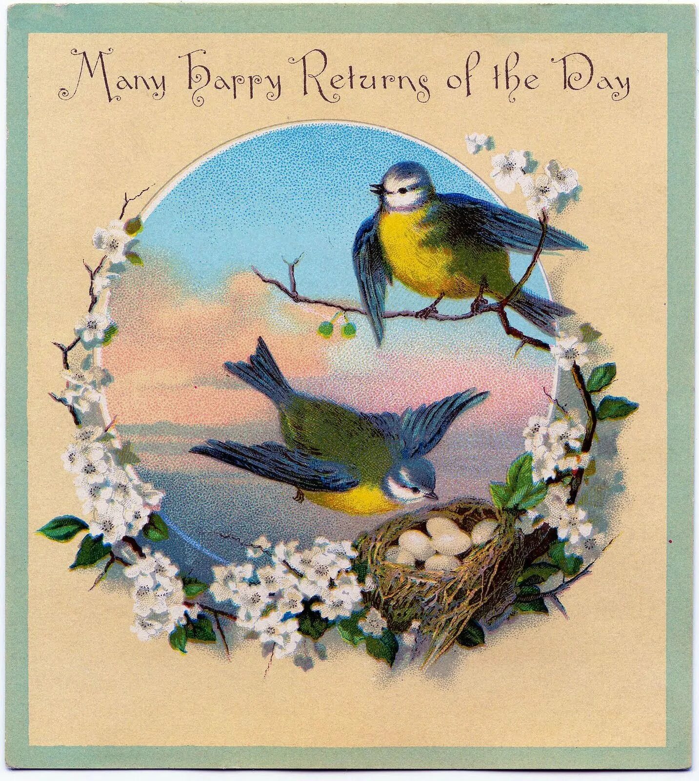 Красивые открытки с праздником сороки. Открытки с птичками. Пасхальная открыточка с птичкой. Старинные открытки с птичками. Винтажные птицы.