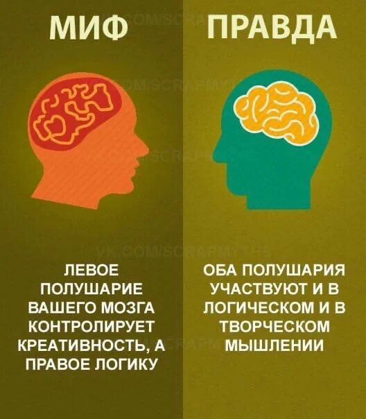 Проект миф или правда