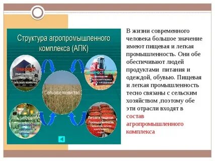 Выявите особенности географии пищевой и легкой промышленности