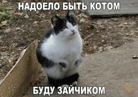 Ты мне надоела понимаешь