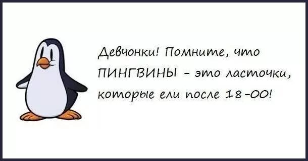 После 18. Пингвины это ласточки которые ели после 18. Пингвин это Ласточка которая ела после 6. Пингвины это ласточки которые ели после 18 00. Помни пингвины это ласточки которые.