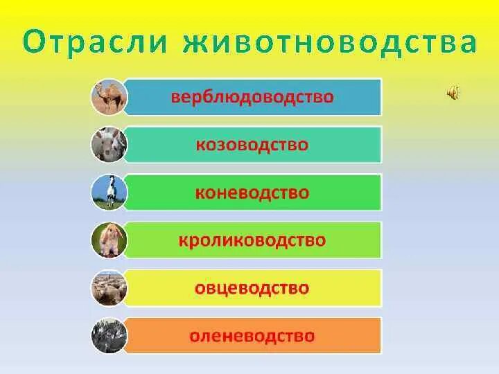 4 основные отрасли животноводства. Классификация животноводства. животноводство россии схема. отрасли животноводства в россии. назовите отрасли животноводства.