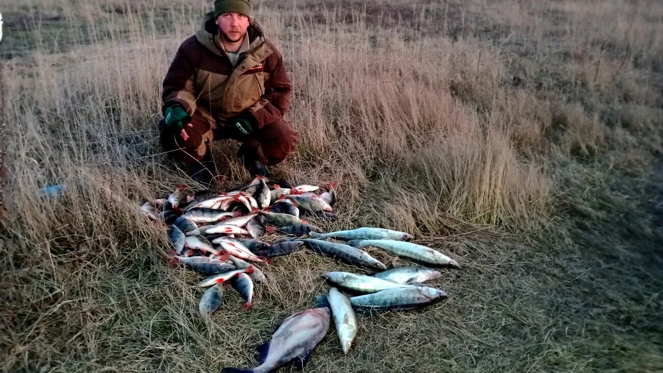 Рыбалка в калининграде сегодня. Рыба Калининградского залива. Рыбаки в Калининградской области. Кенигфишинг. Сумасшедшая рыбалка.