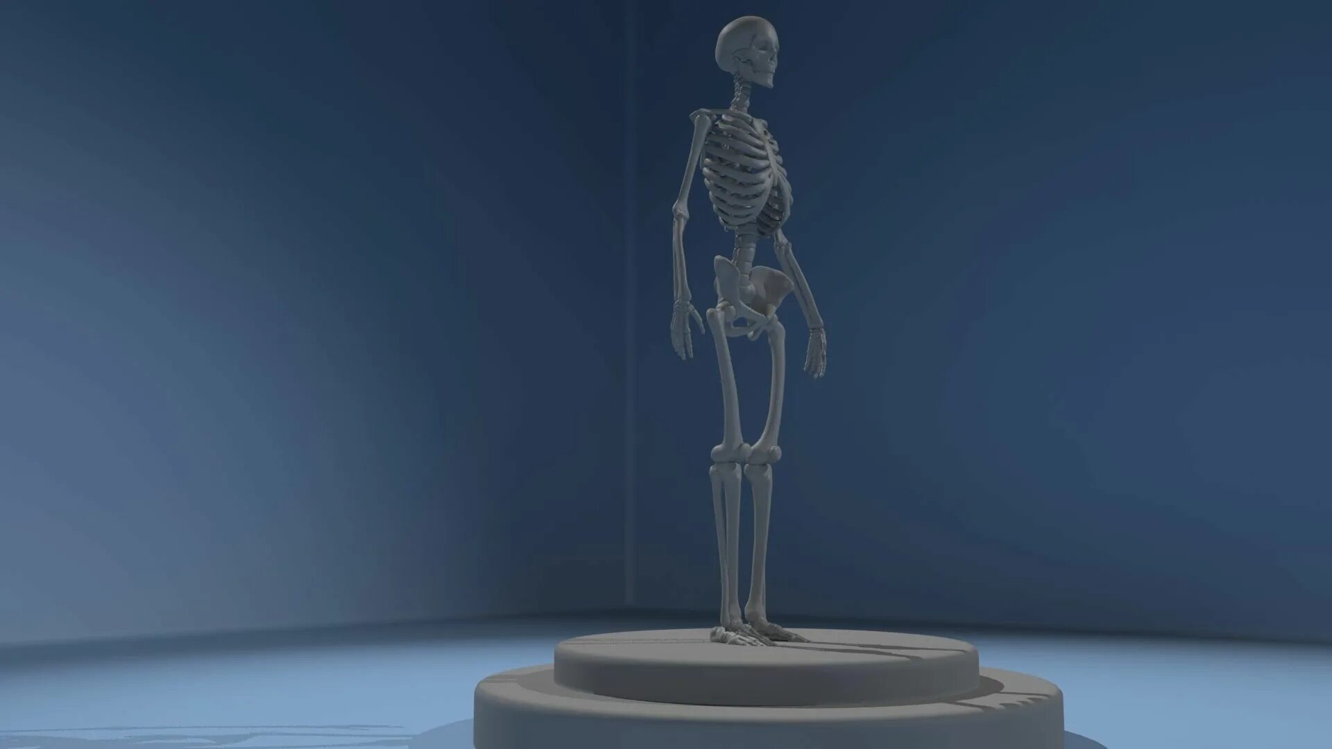 Модель скелета блендер. 3д модель скелета человека blender. 3d модель для принтера скелета. скелет на 3д принтере. 3d печать скелет.