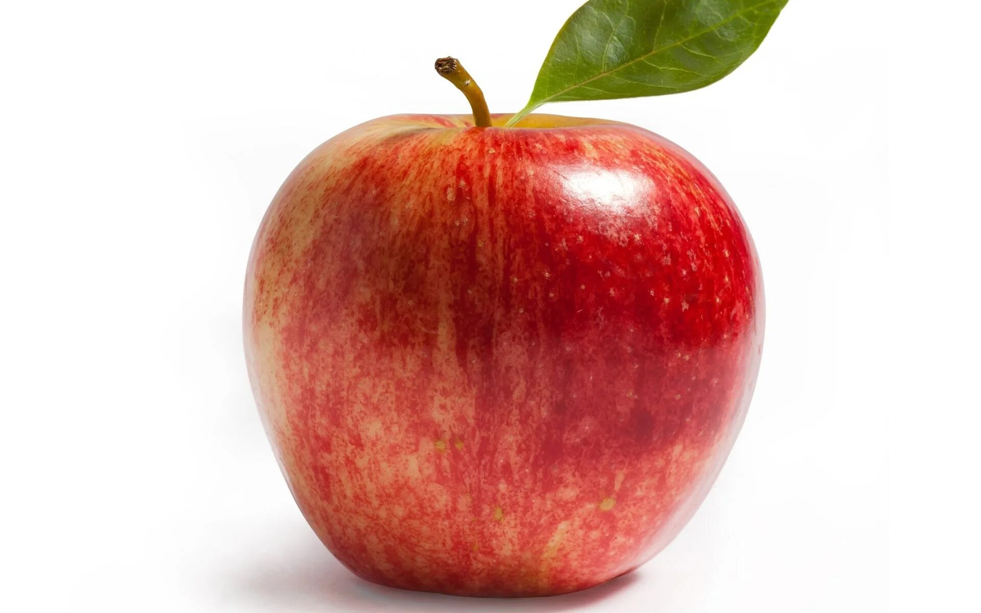 Яблоко рисунок. Яблоко. Лист яблока. Яблоко картинка. Яблоко бф.
