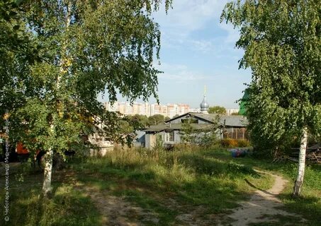 Песочня рязанская